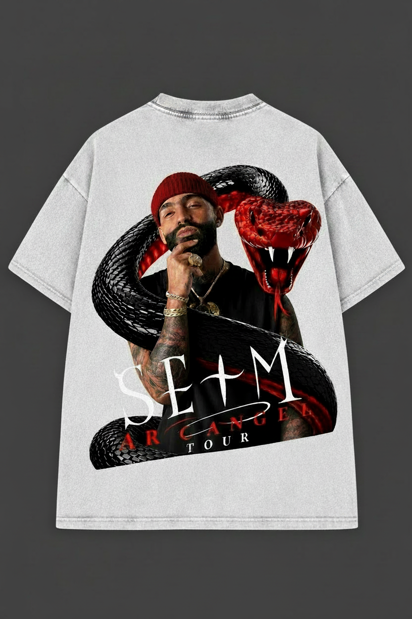 Polera de Arcangel la Maravilla N-6 Unisex - 30% OFF